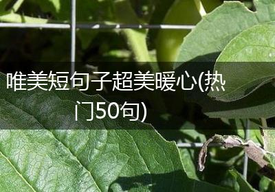 唯美短句子超美暖心(热门50句)
