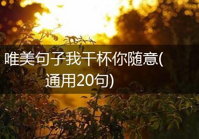 唯美句子我干杯你随意(通用20句)
