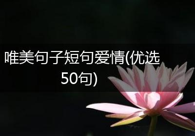 唯美句子短句爱情(优选50句)