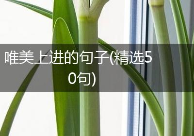 唯美上进的句子(精选50句)