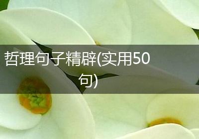 哲理句子精辟(实用50句)