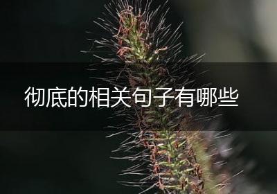 彻底的相关句子有哪些