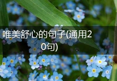 唯美舒心的句子(通用20句)