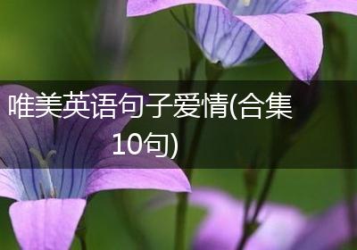 唯美英语句子爱情(合集10句)