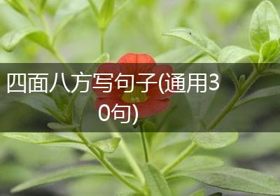 四面八方写句子(通用30句)