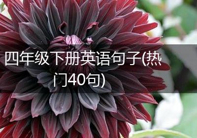 四年级下册英语句子(热门40句)