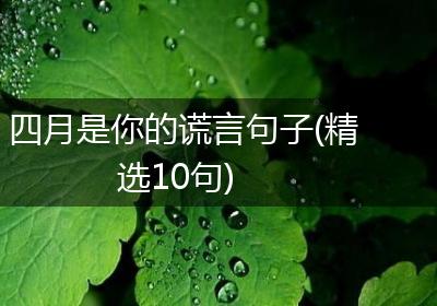 四月是你的谎言句子(精选10句)