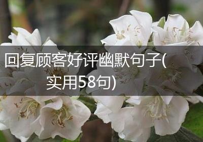 回复顾客好评幽默句子(实用58句)
