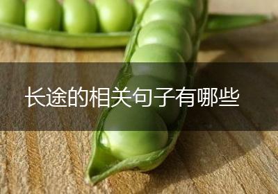 长途的相关句子有哪些