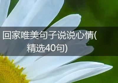 回家唯美句子说说心情(精选40句)