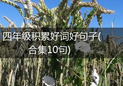 四年级积累好词好句子(合集10句)