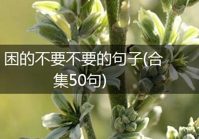 困的不要不要的句子(合集50句)