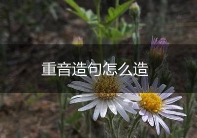 重音造句怎么造