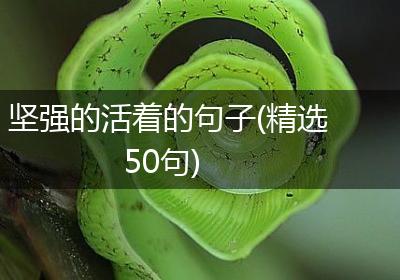 坚强的活着的句子(精选50句)
