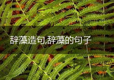 辞藻造句,辞藻的句子
