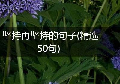 坚持再坚持的句子(精选50句)