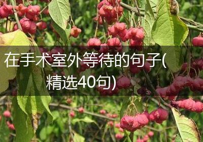 在手术室外等待的句子(精选40句)