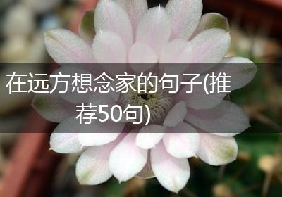 在远方想念家的句子(推荐50句)
