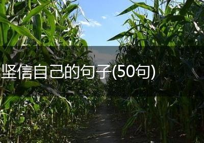 坚信自己的句子(50句)