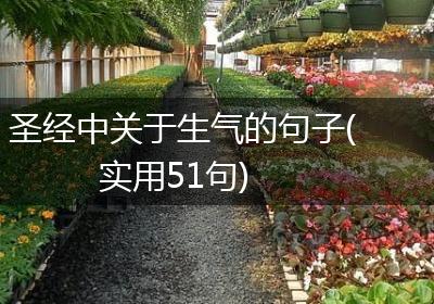 圣经中关于生气的句子(实用51句)