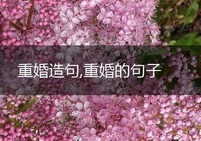 重婚造句,重婚的句子
