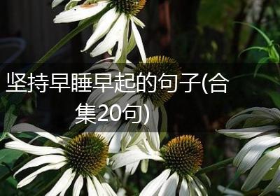 坚持早睡早起的句子(合集20句)
