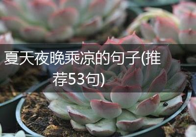 夏天夜晚乘凉的句子(推荐53句)