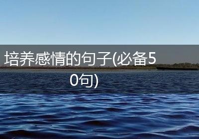培养感情的句子(必备50句)