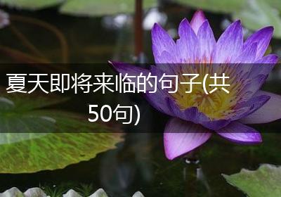 夏天即将来临的句子(共50句)