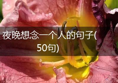 夜晚想念一个人的句子(50句)