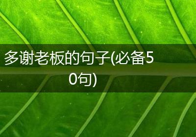 多谢老板的句子(必备50句)