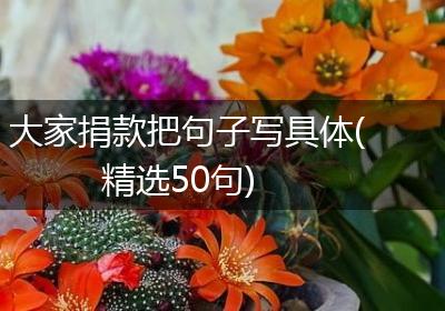 大家捐款把句子写具体(精选50句)