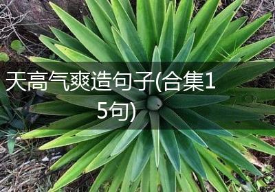 天高气爽造句子(合集15句)