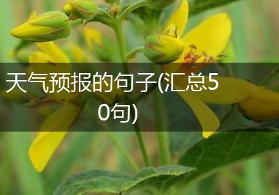 天气预报的句子(汇总50句)
