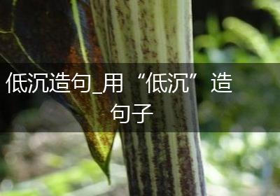 低沉造句_用“低沉”造句子