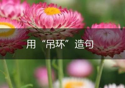 用“吊环”造句