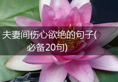 夫妻间伤心欲绝的句子(必备20句)