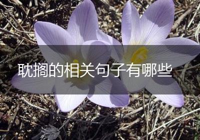 耽搁的相关句子有哪些