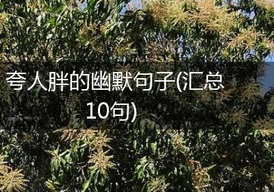 夸人胖的幽默句子(汇总10句)