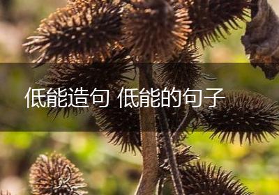 低能造句 低能的句子