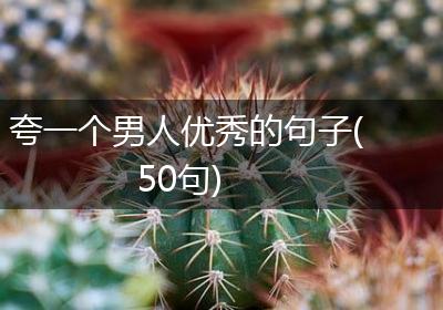夸一个男人优秀的句子(50句)