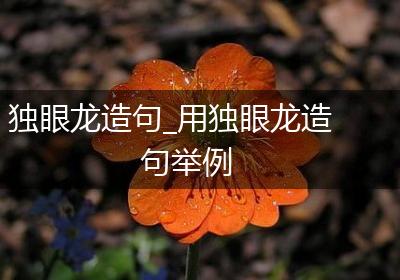 独眼龙造句_用独眼龙造句举例