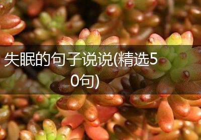 失眠的句子说说(精选50句)