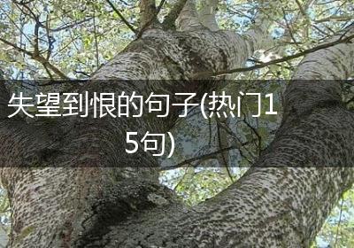 失望到恨的句子(热门15句)