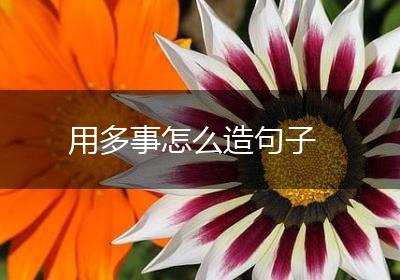 用多事怎么造句子