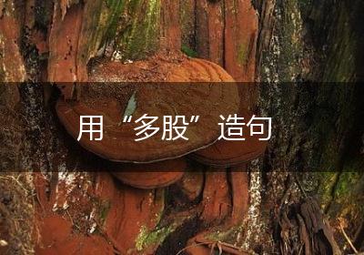 用“多股”造句