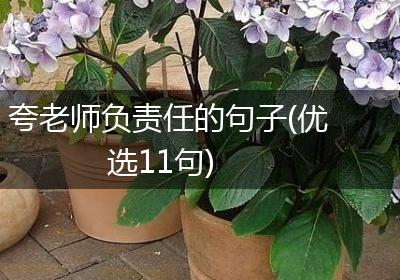 夸老师负责任的句子(优选11句)