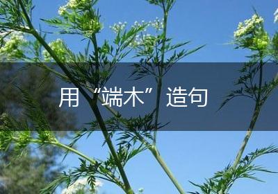 用“端木”造句