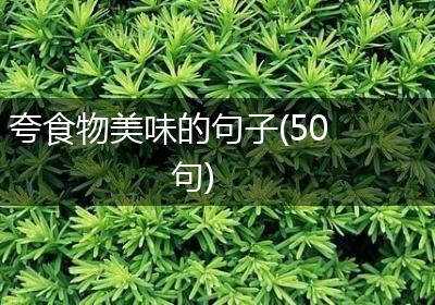 夸食物美味的句子(50句)