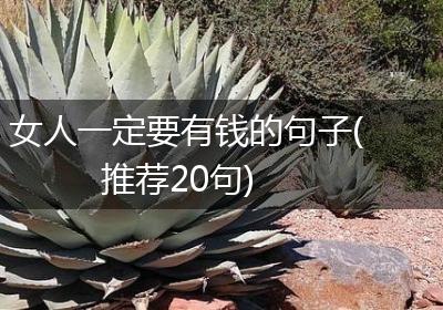 女人一定要有钱的句子(推荐20句)